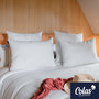 Voir la diapositive 2 : COLAS NORMAND Oreiller thermorégulant TopCool® 50X70