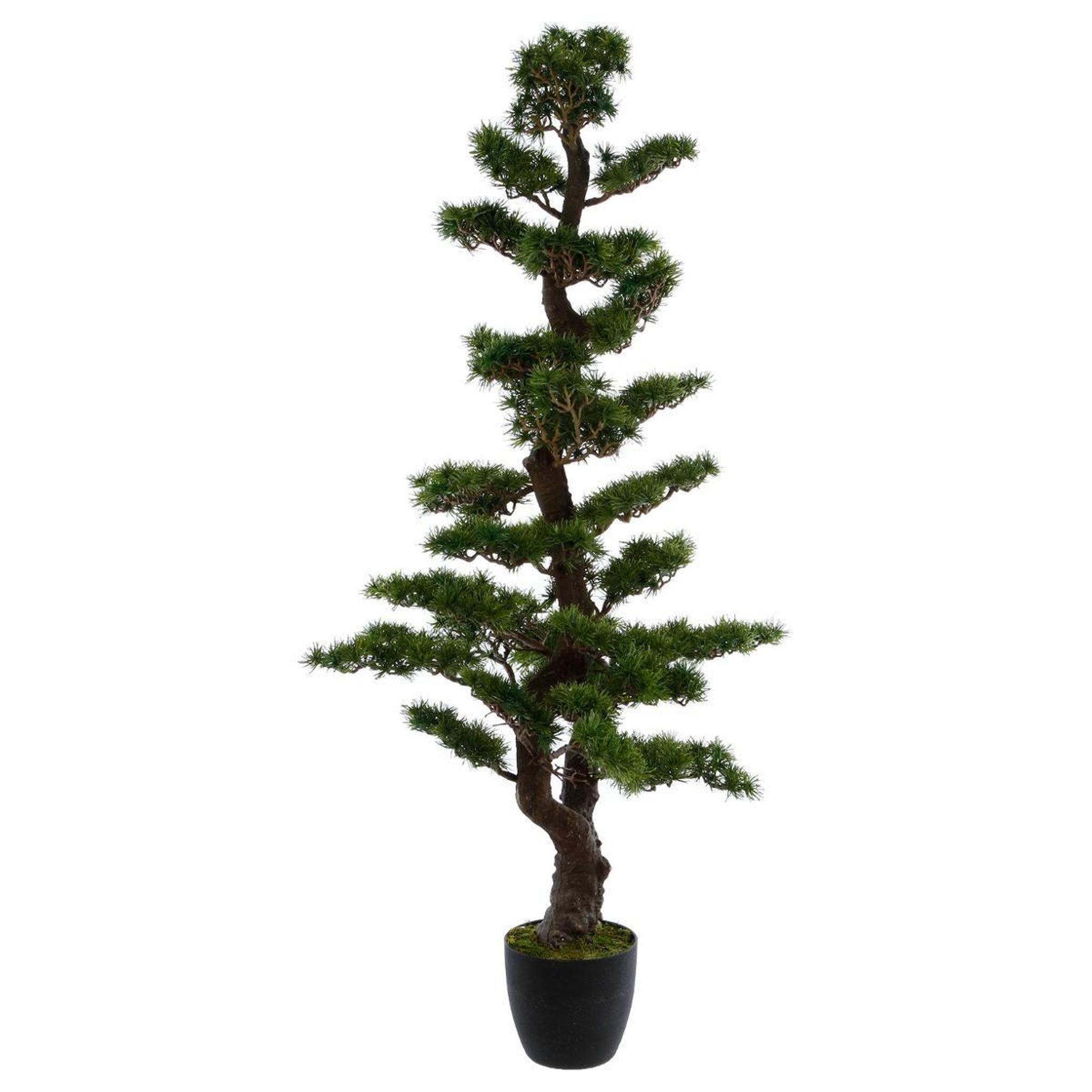 ATMOSPHERA Plante artificielle  bonsaï  151cm noir
