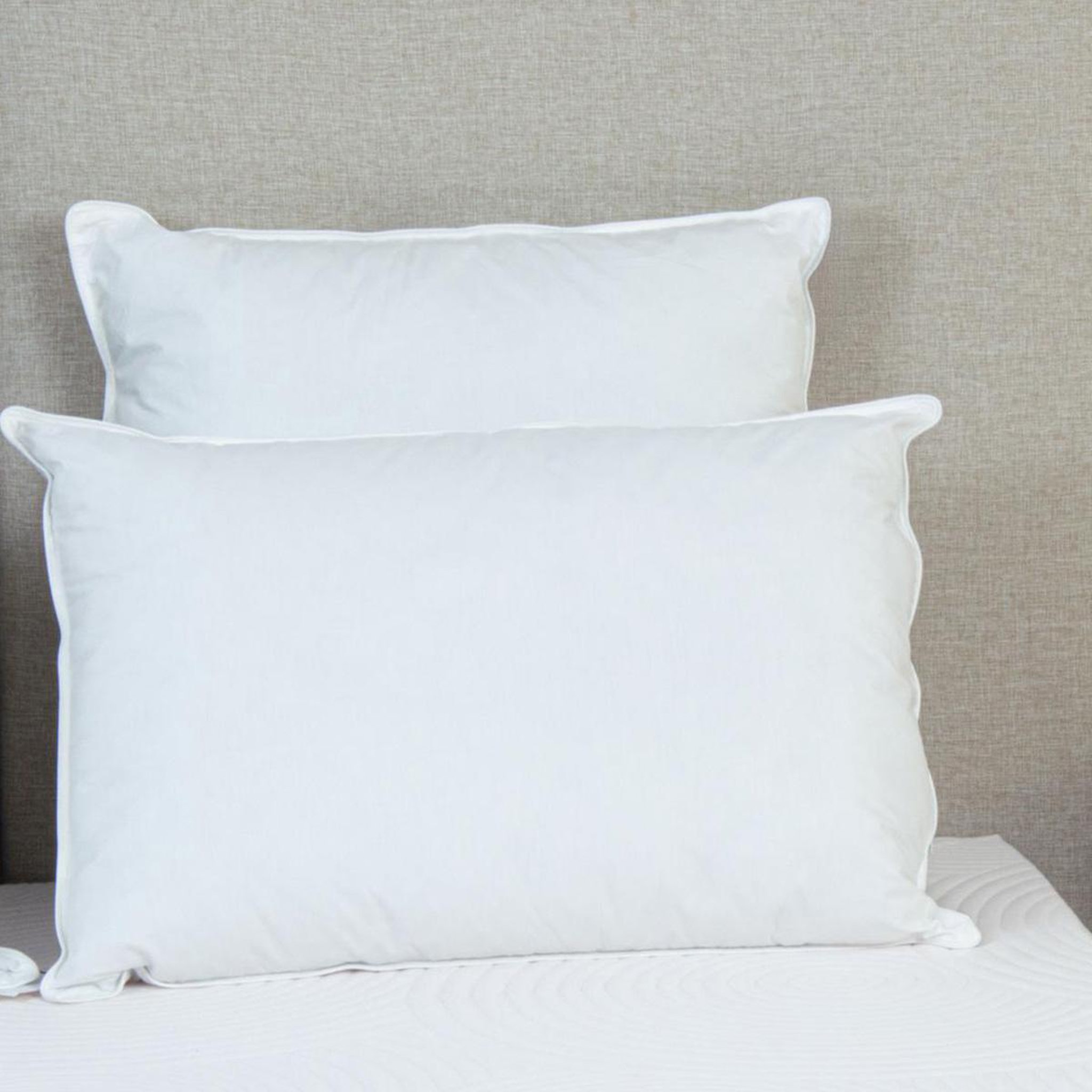 Voir la diapositive 3 : BELLECOUR Bellecour literie | oreiller alaska | fibres creuses polyester