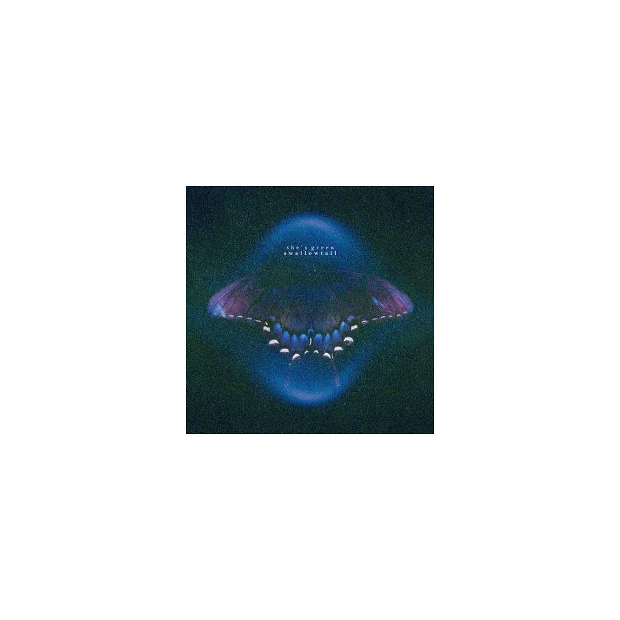 Vinyle 2 lp rock she's green swallowtail / chrysalis édition standard
