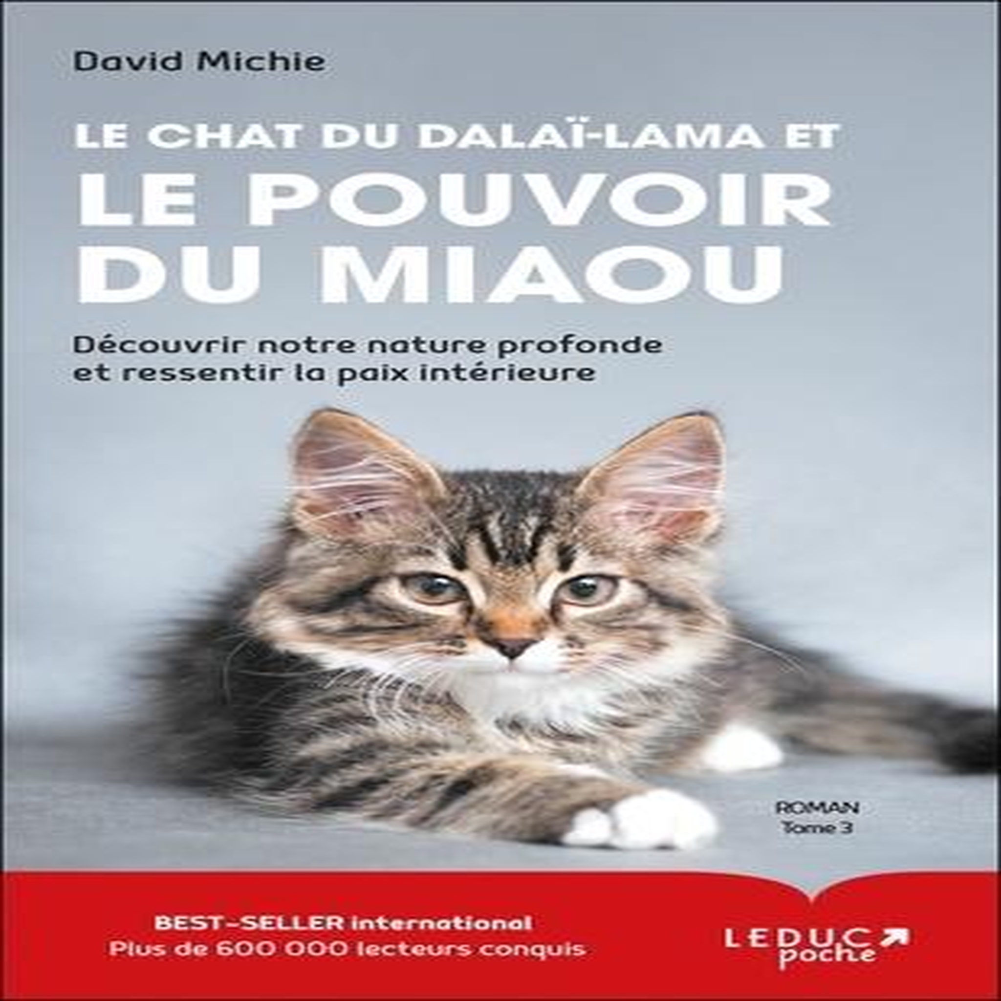 LE CHAT DU DALAI-LAMA TOME 3 : LE CHAT DU DALAI-LAMA ET LE POUVOIR DU MIAOU, Michie David