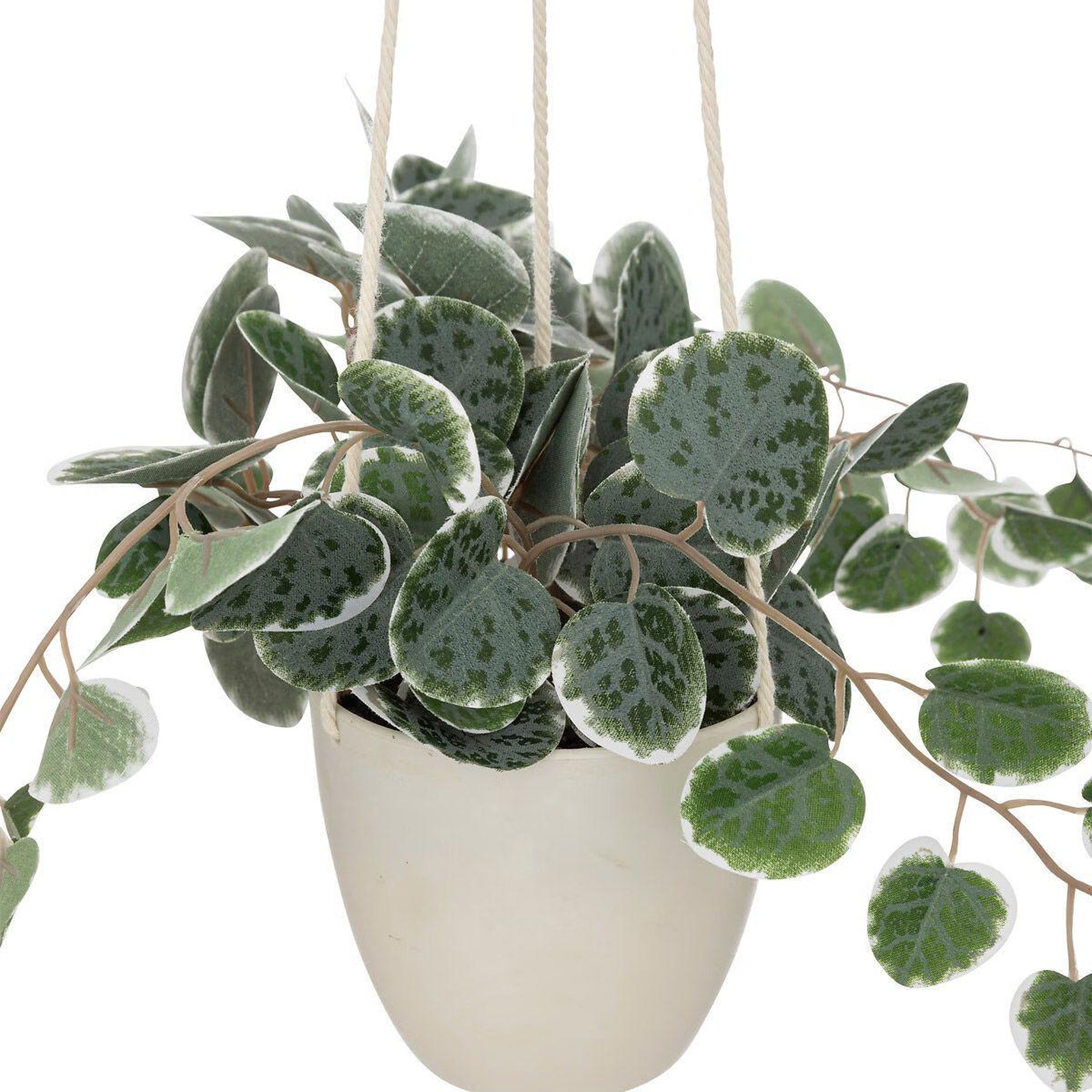 Voir la diapositive 2 : ATMOSPHERA Plante suspendue en pot  lour  80cm blanc & vert