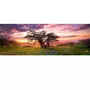 Heye Puzzle 2000 pièces panoramique - Alexander von Humboldt : Le chêne