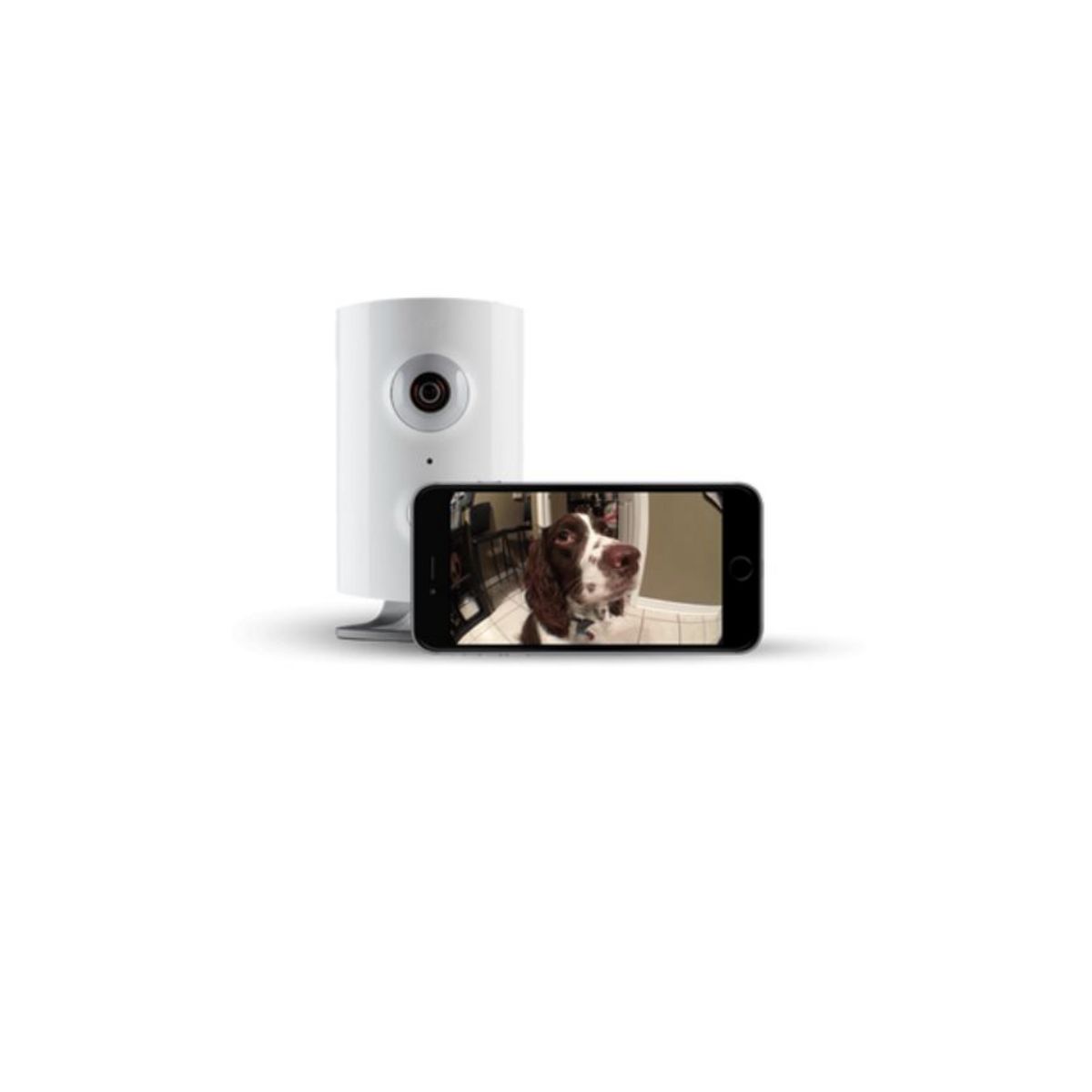 PIPER Camera - Champ de vision à 180° - Vision nocturne