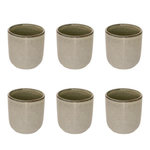SECRET DE GOURMET Lot de 6 Tasses à Café  Terre Inconnue  10cl Vert Clair