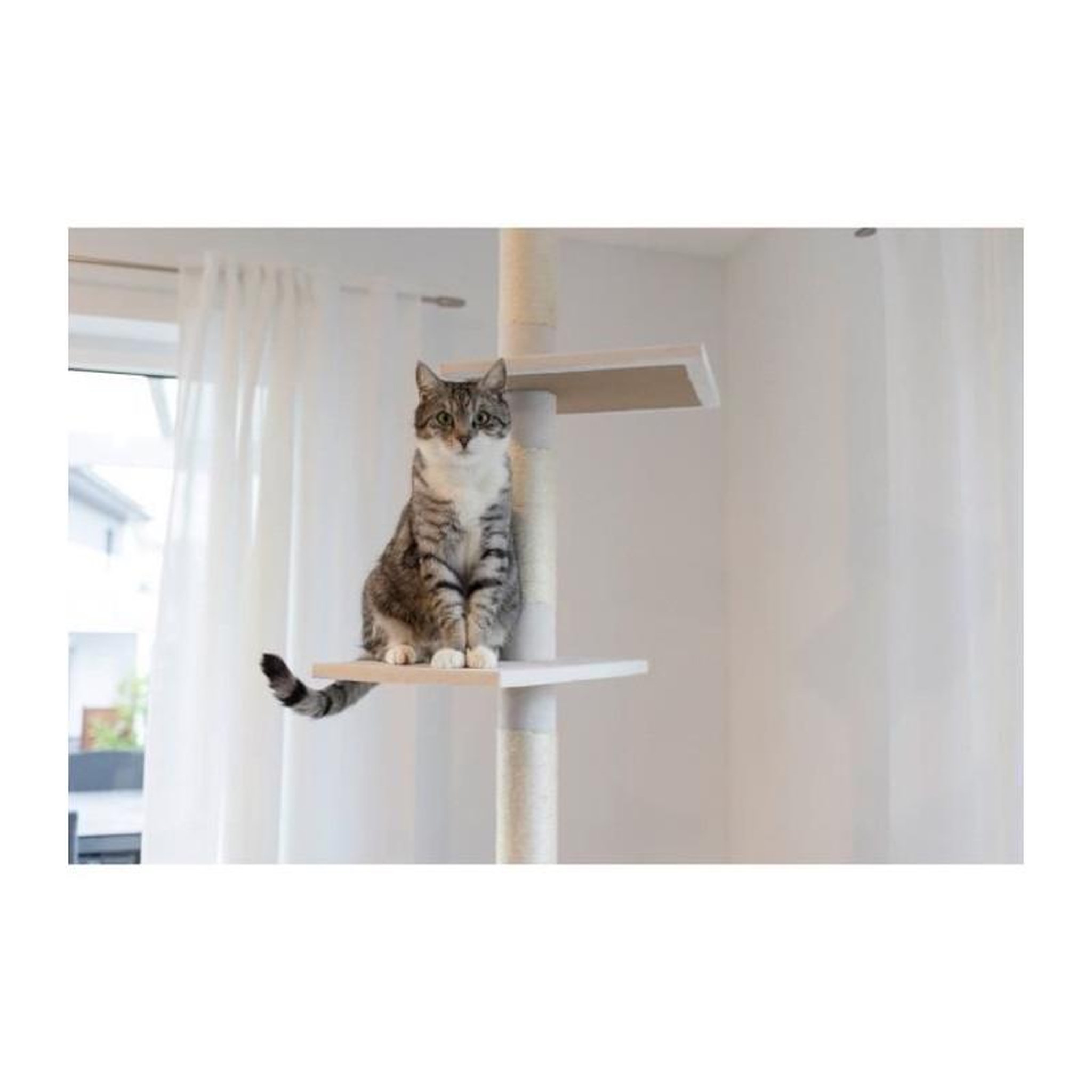 Voir la diapositive 3 : KERBL Arbre a chat - 38 x 38 x 240 a 260 cm - Ferdi - KERBL - Blanc - Sisal
