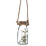 Voir la diapositive 5 : ATMOSPHERA Suspension Murale  4 Fleurs Séchées  53cm Naturel