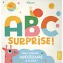  ABC SURPRISE !, Hikimi