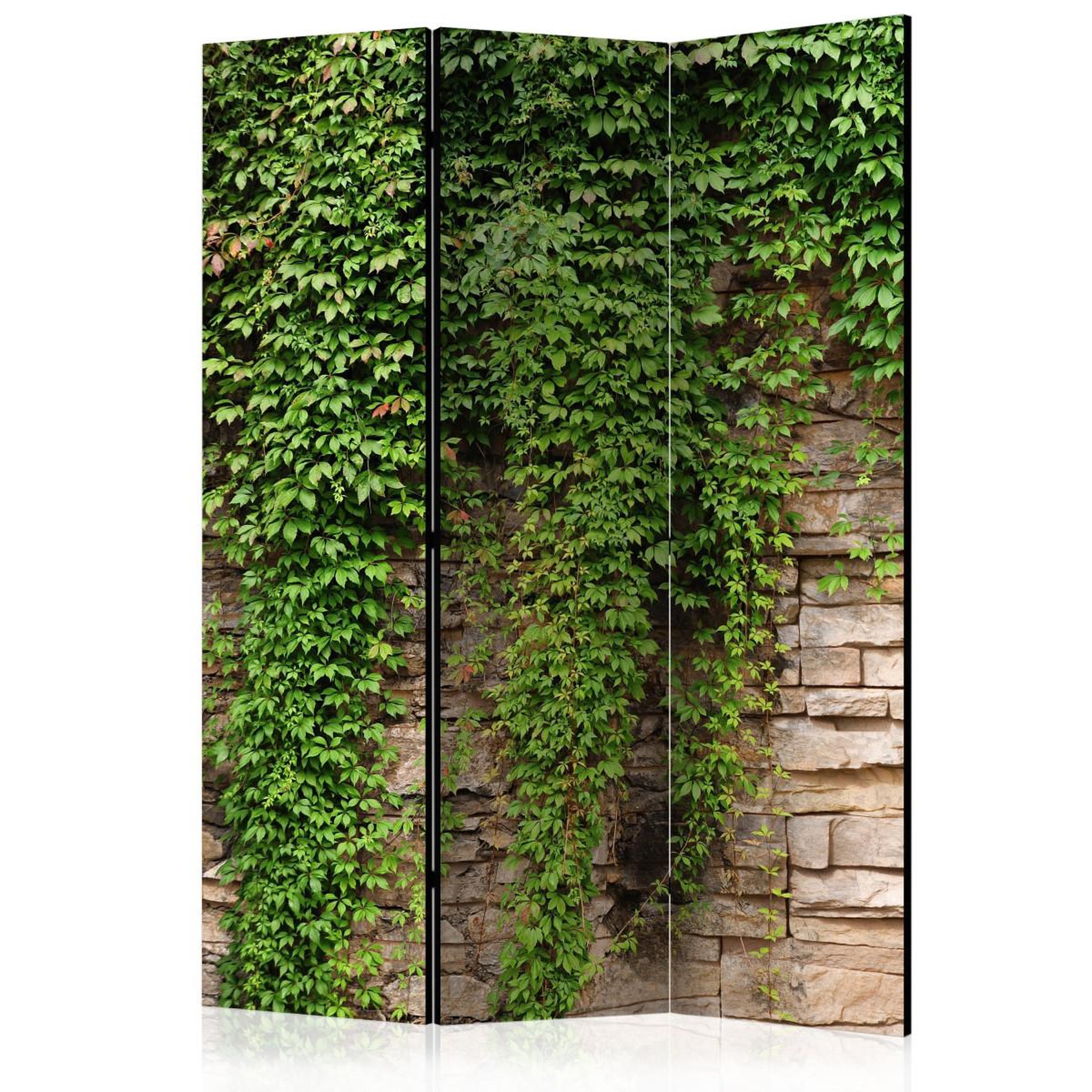 Paris Prix Paravent 3 volets  ivy wall  135x172cm