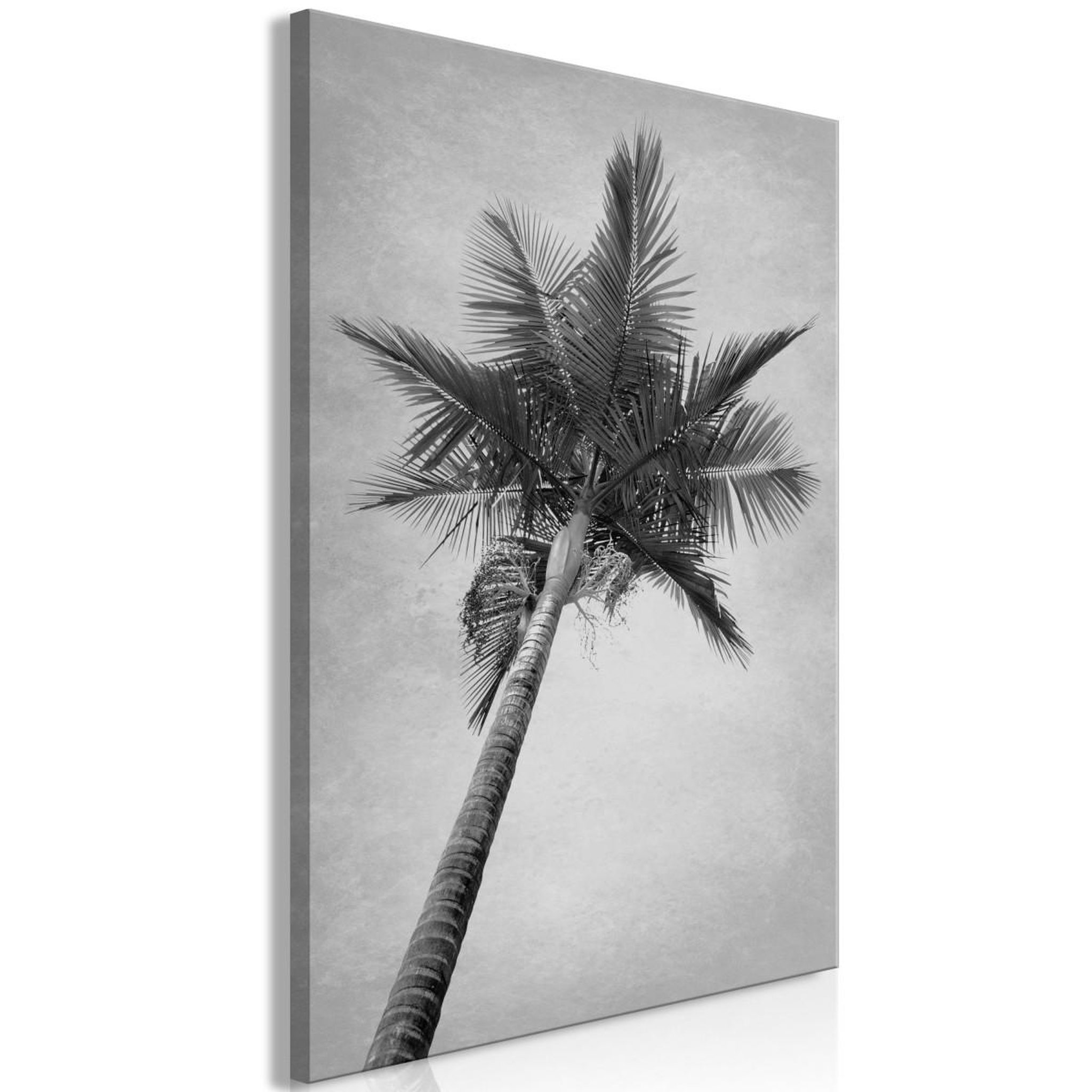 Paris Prix Tableau imprimé  high palm tree. Coloris disponibles : Multicolore