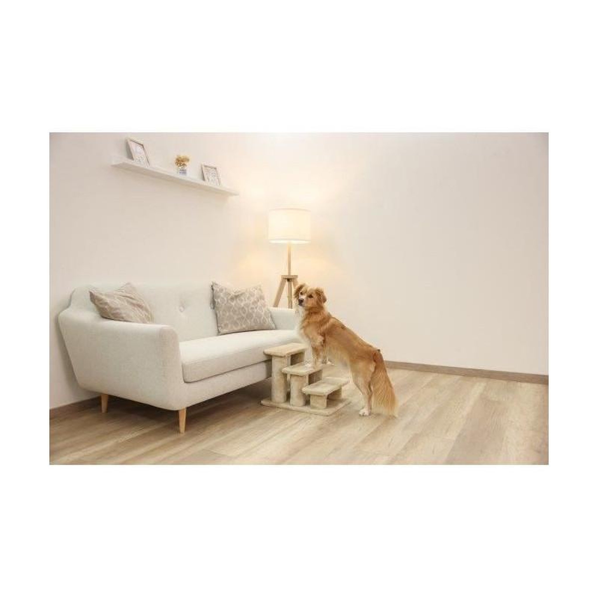 Voir la diapositive 4 : KERBL Escalier pour animaux - KERBL - Easy Climb 2.0 - 45 x 35 x 34 cm - Jusqu'a 50 kg