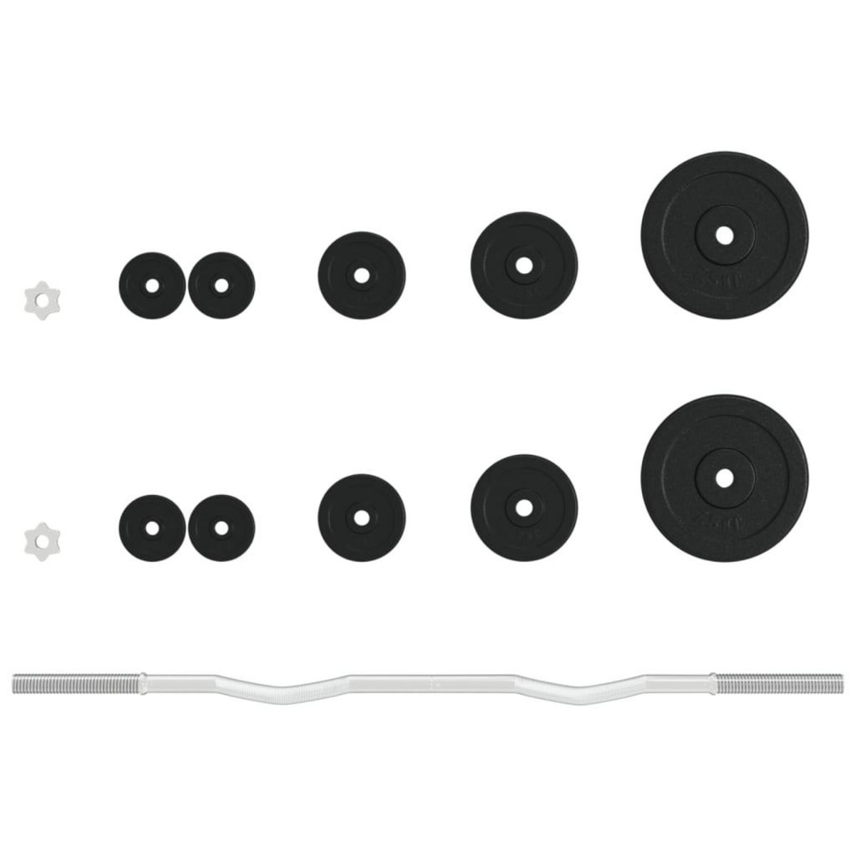 VIDAXL Ensemble d'halteres avec plaques 30 kg fonte et acier chrome