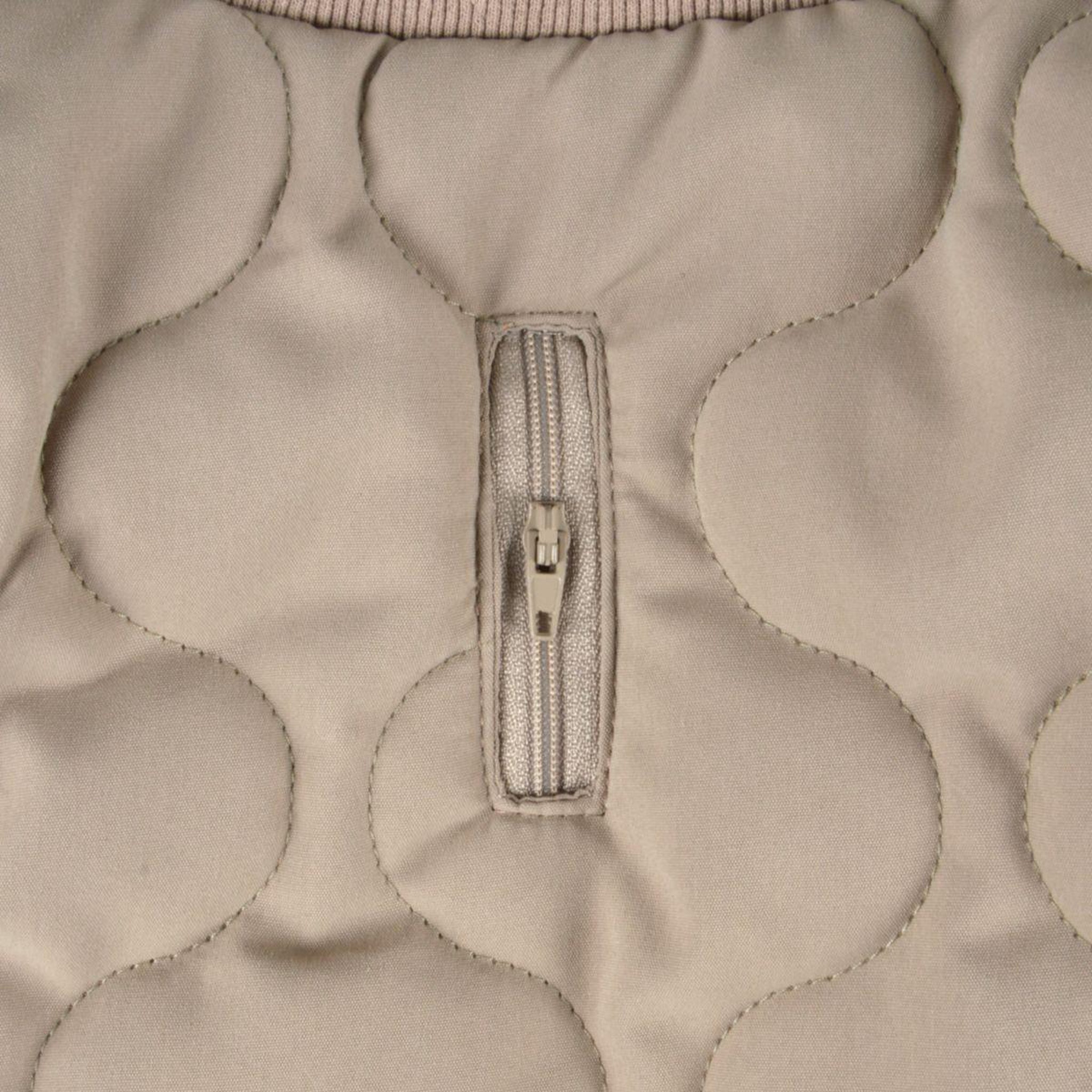 Voir la diapositive 3 : LOVE STORY Manteau matelassé pour chien  teddy  30cm beige