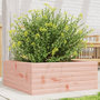 Voir la diapositive 1 : VIDAXL Jardiniere 60x60x23 cm bois massif douglas