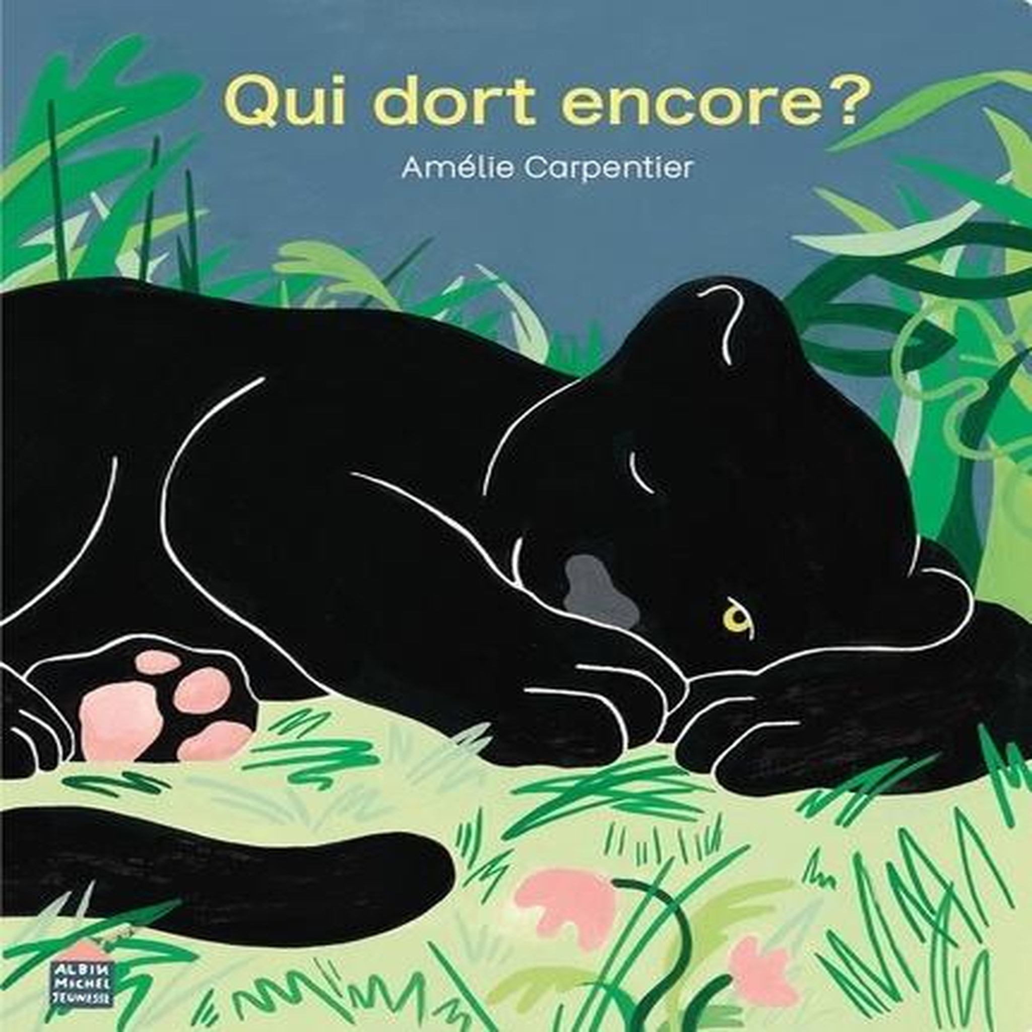 QUI DORT ENCORE ?, Carpentier Amélie