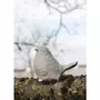 Rayher Moule en latex oiseau 11 cm