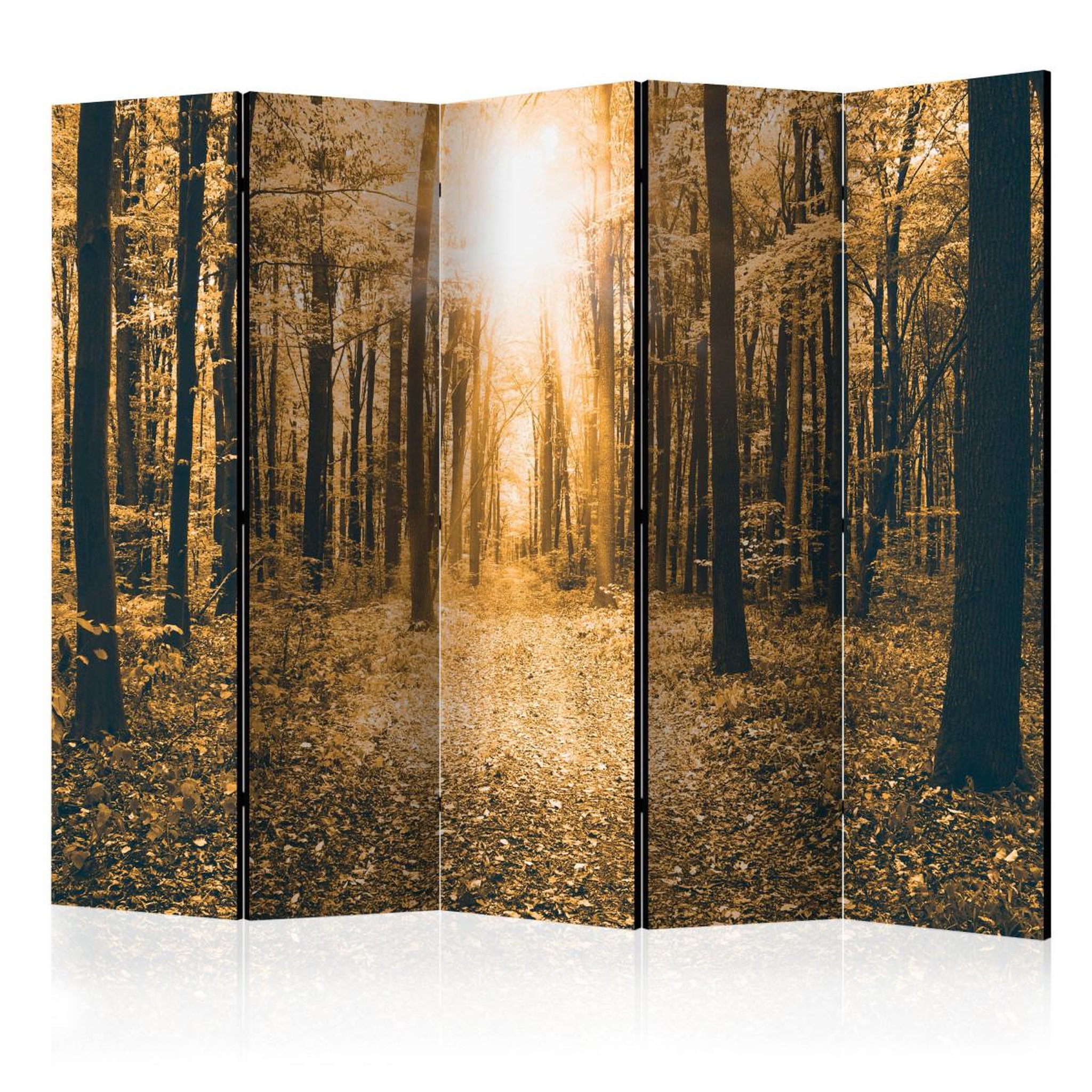 Paris Prix Paravent 5 volets  magical light  172x225cm