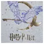 Harry Potter T-shirt manches courtes fille