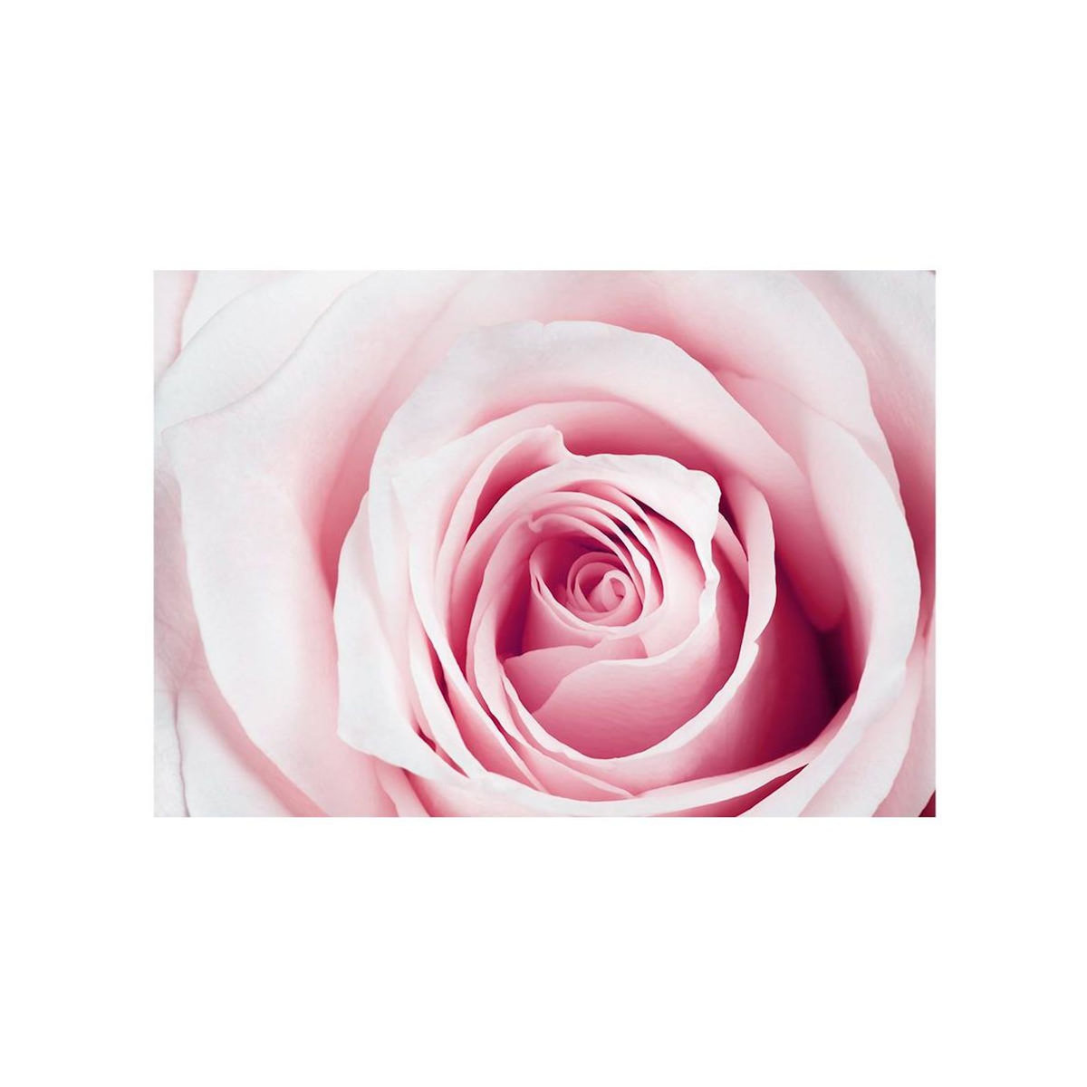 Paris Prix Papier Peint  Rose Maze