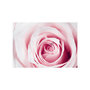 Voir la diapositive 2 : Paris Prix Papier Peint  Rose Maze