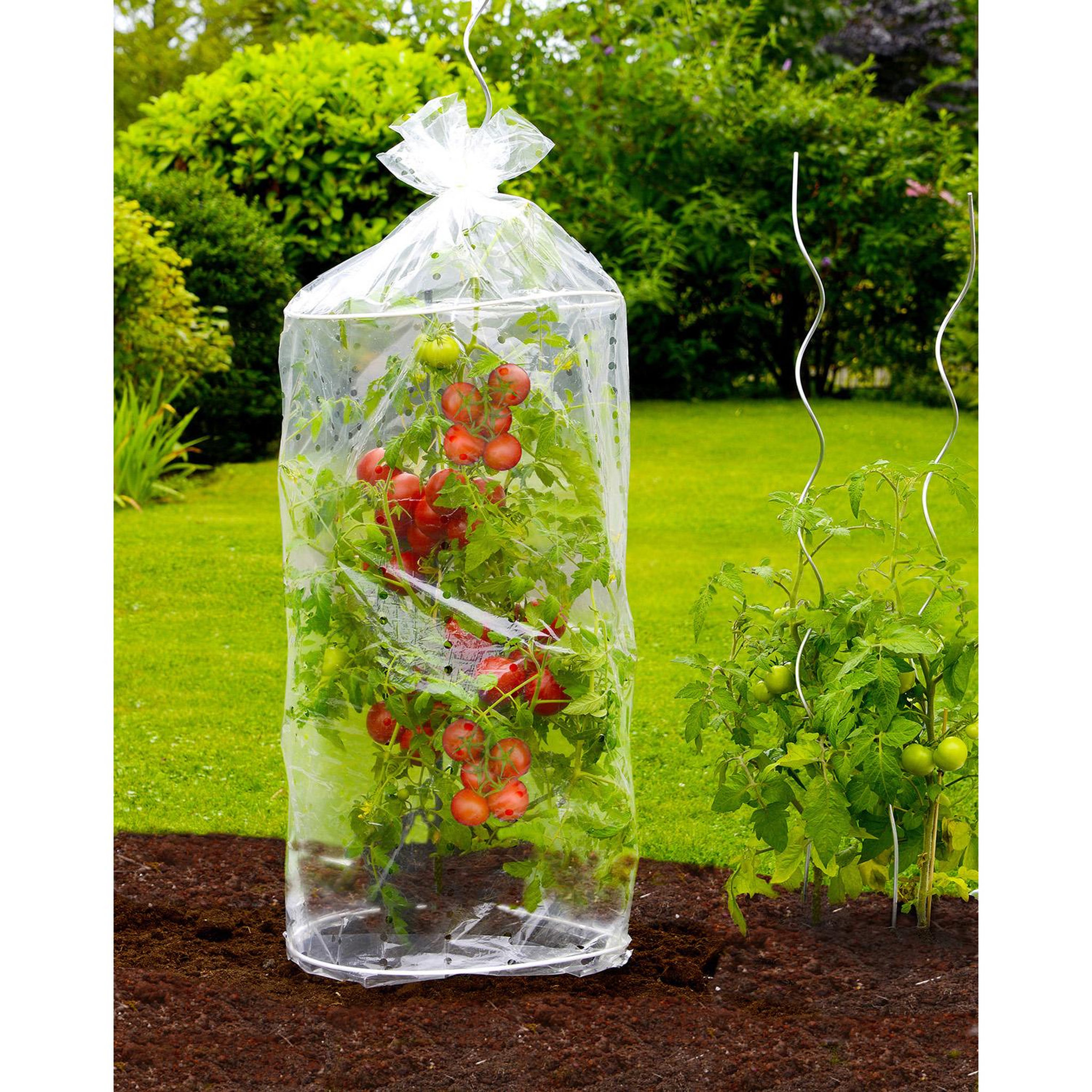 Voir la diapositive 2 : Wenko 2 Housse pour tomates