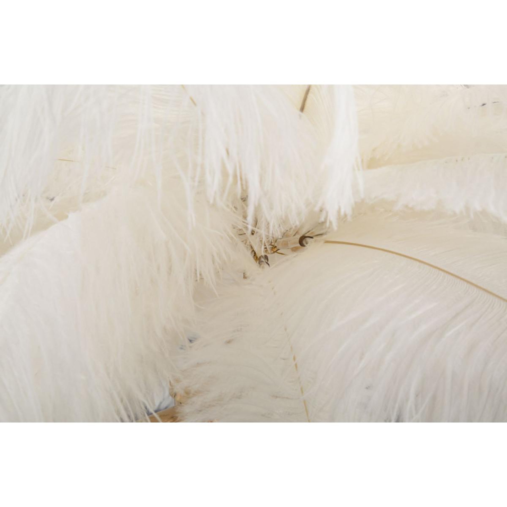 Voir la diapositive 4 : Paris Prix Lampe à poser imitation plume  palm  60cm or & blanc