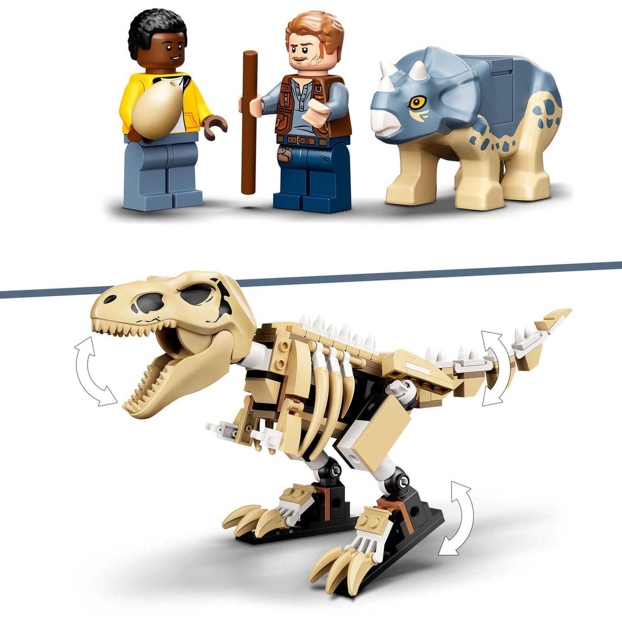 Voir la diapositive 4 : LEGO Jurassic World 76940 L&rsquo;Exposition du Fossile du T. Rex