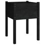 Voir la diapositive 2 : VIDAXL Jardiniere Noir 50x50x70 cm Bois de pin massif