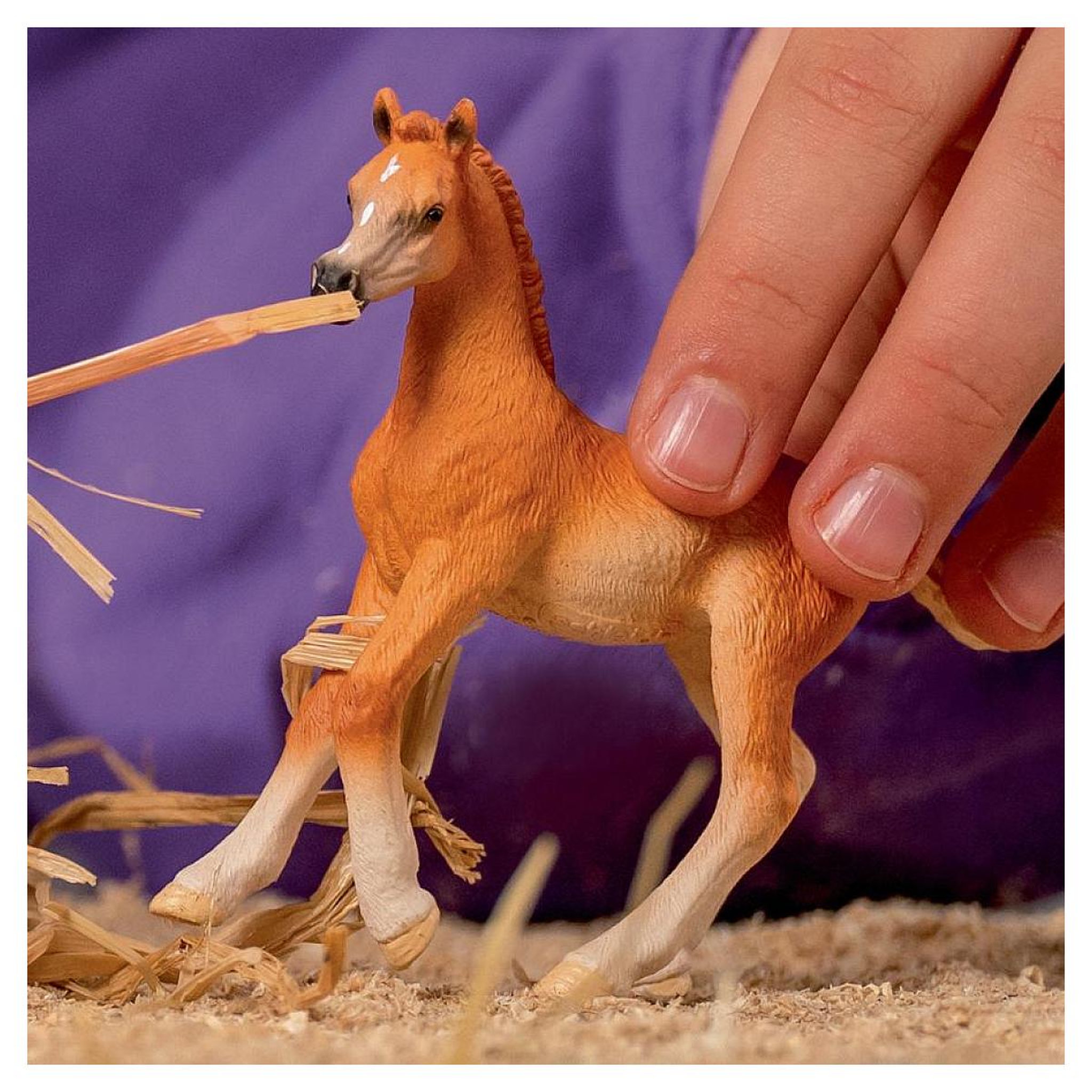 Voir la diapositive 2 : Schleich 13984 Figurine Poulain arabe