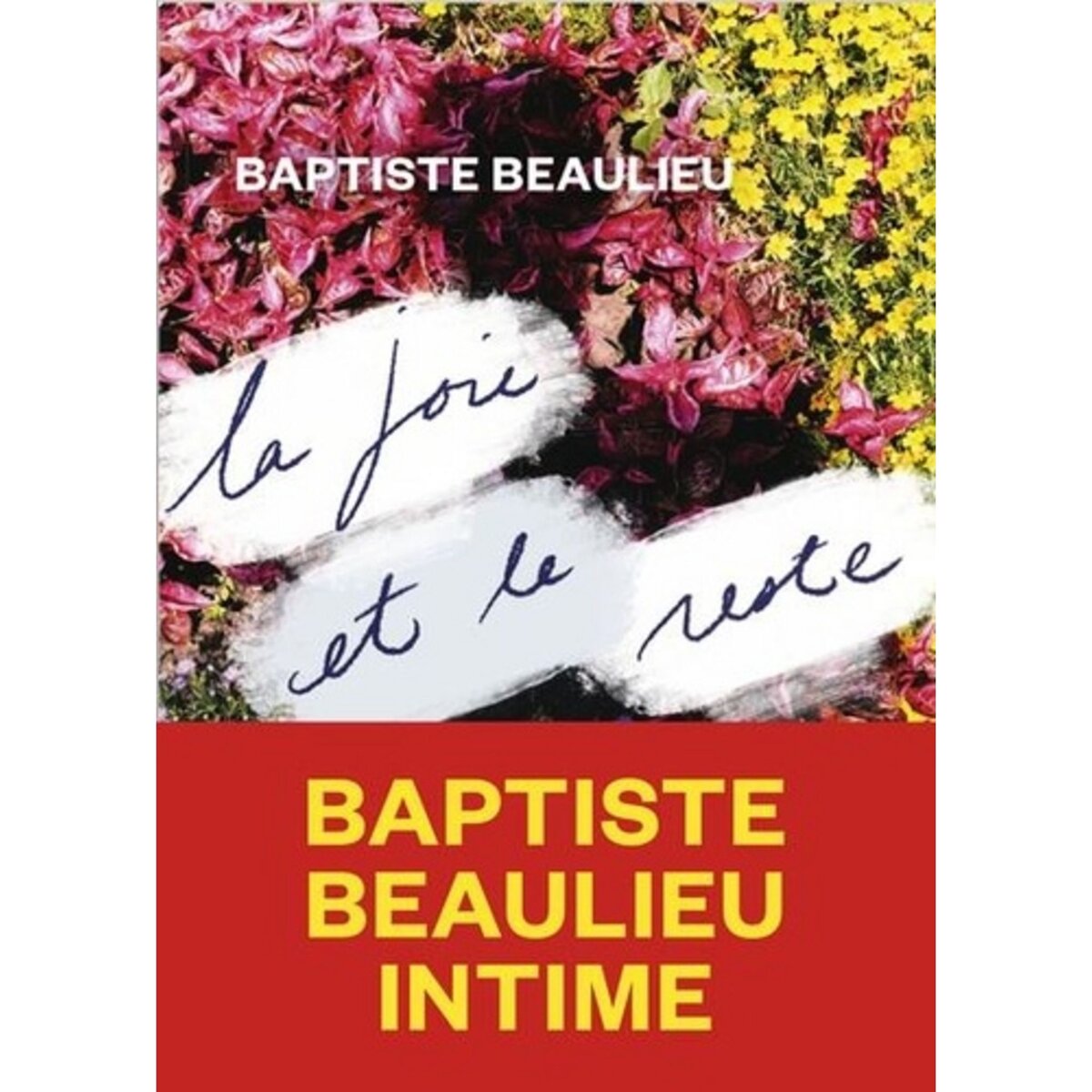  LA JOIE ET LE RESTE, Beaulieu Baptiste
