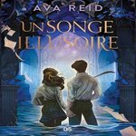 UN PASSE ENGLOUTI TOME 2 : UN SONGE ILLUSOIRE, Reid Ava