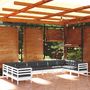 Voir la diapositive 1 : VIDAXL Salon de jardin 10 pcs avec coussins blanc bois de pin