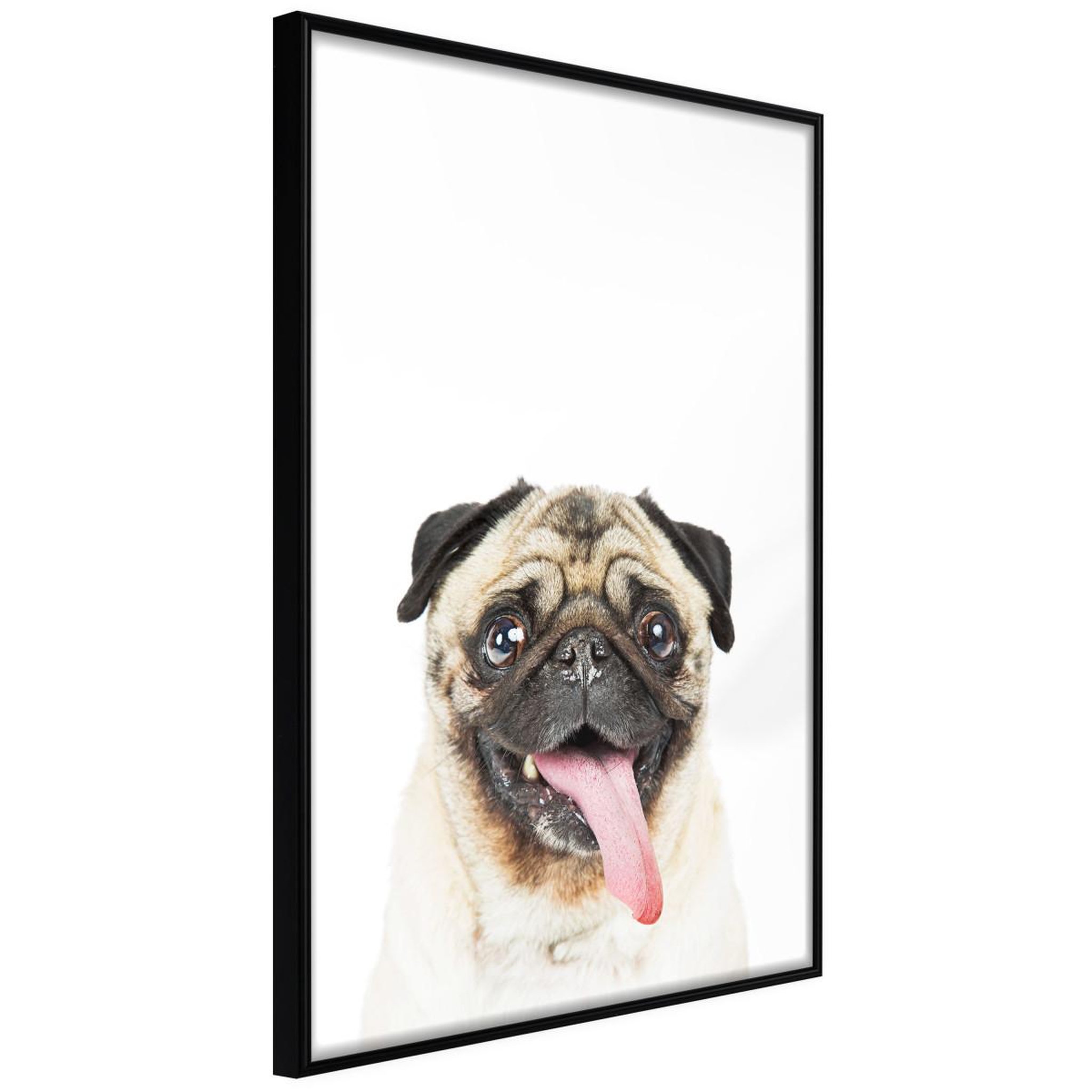 Paris Prix Affiche Murale Encadrée  Funny Pug