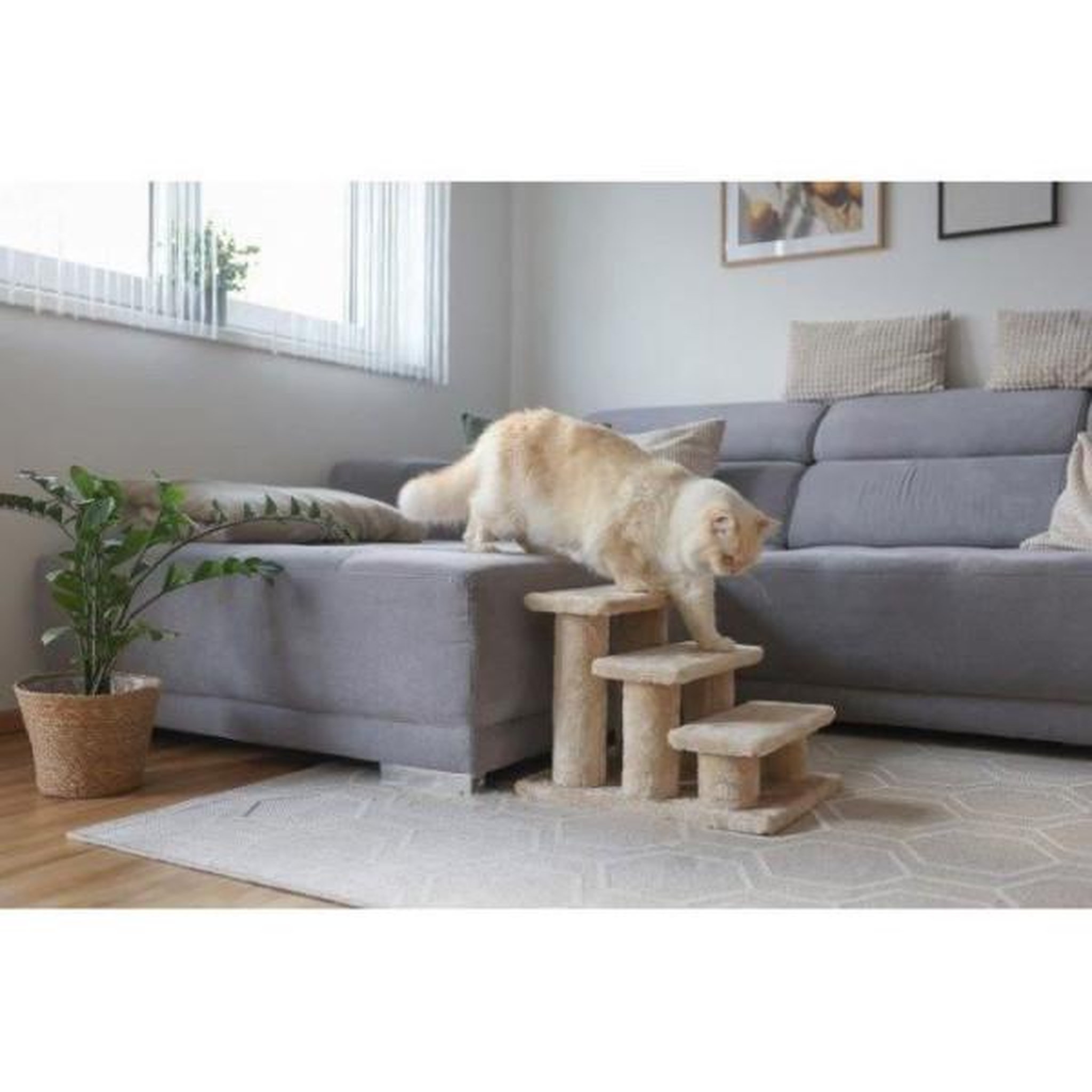 Voir la diapositive 3 : KERBL KERBL - Escalier pour animaux - 45 x 35 x 34 cm - Jusqu'a 50 kg