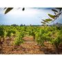 Voir la diapositive 4 : Smartbox Sélection Châteauneuf-du-Pape : 3 vins de renom livrés à domicile - Coffret Cadeau Gastronomie