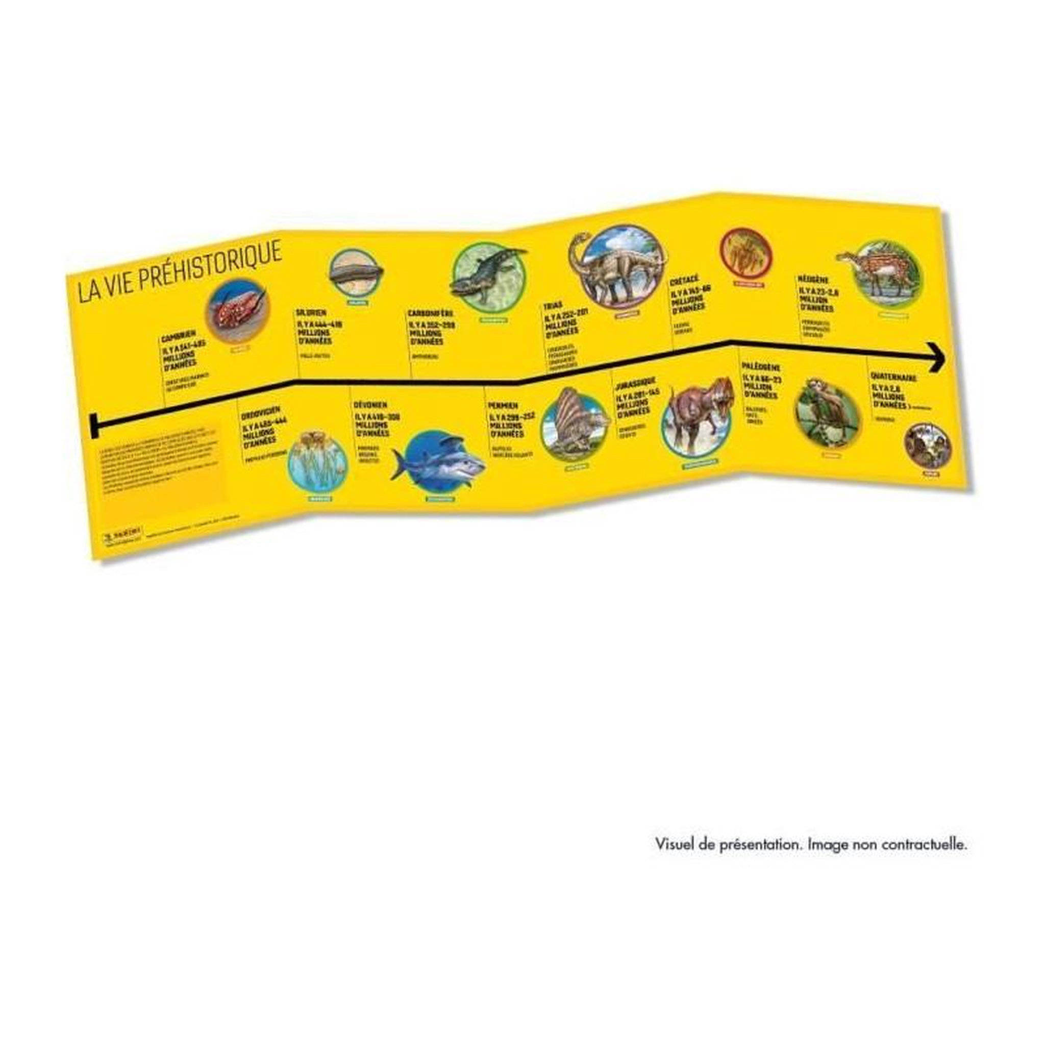 Voir la diapositive 5 : Panini Album pour cartes a collectionner - PANINI - DINOS NATIONAL GEOGRAPHIC KIDS - PANINIPEDIA