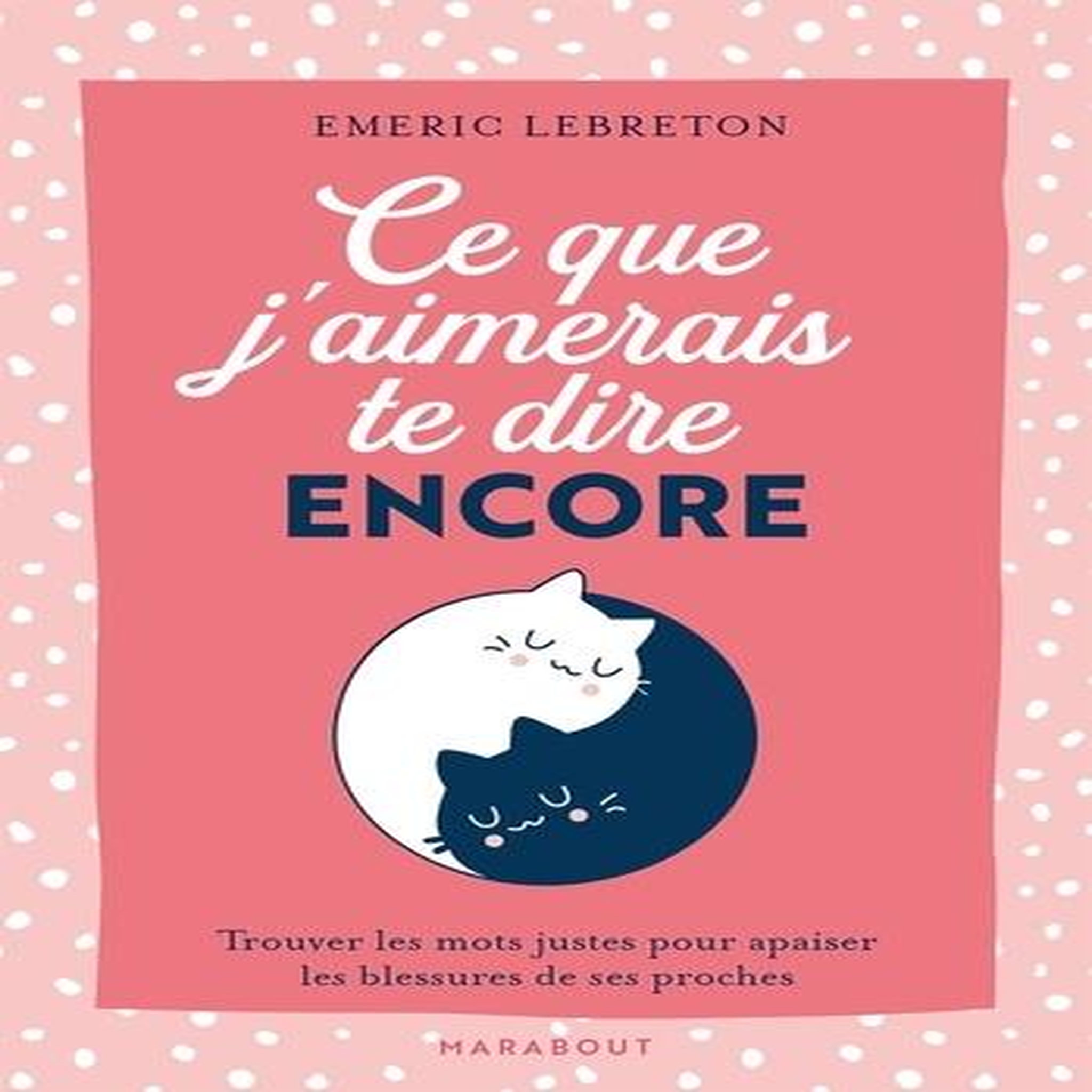 CE QUE J'AIMERAIS TE DIRE ENCORE, Lebreton Emeric