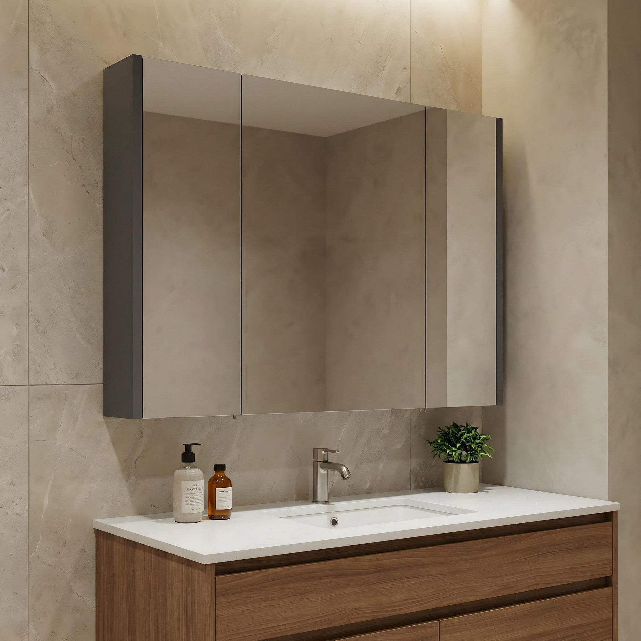 Voir la diapositive 2 : Habitat et Jardin Meuble Salle de Bain avec Miroir  Arno 100  - 100 x 16 x 66 cm - Grey / Anthracite