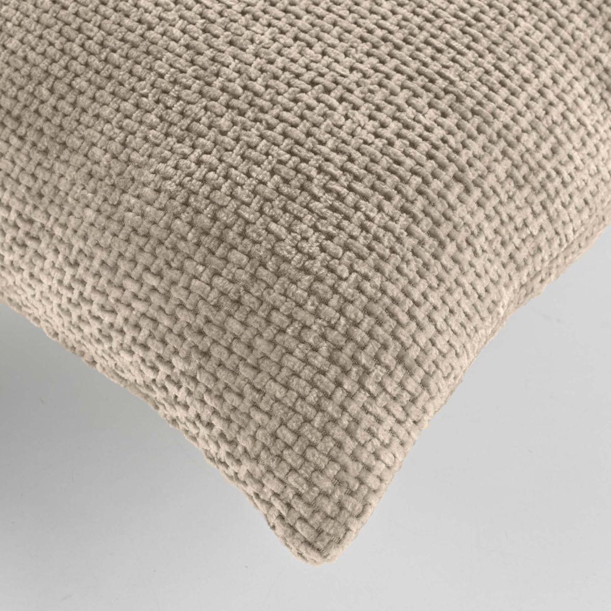 Voir la diapositive 3 : Douceur d'Intérieur Coussin déco en velours chenillé  leo  45x45cm sable