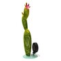 Voir la diapositive 4 :  Cactus solaire 6 LED blanches