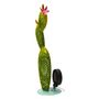 Voir la diapositive 4 :  Cactus solaire 6 LED blanches