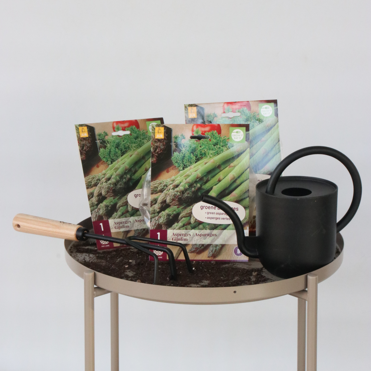 PLANT IN A BOX Asperge de jardin - Set de 3 - Asparagus 'Gijnlim'