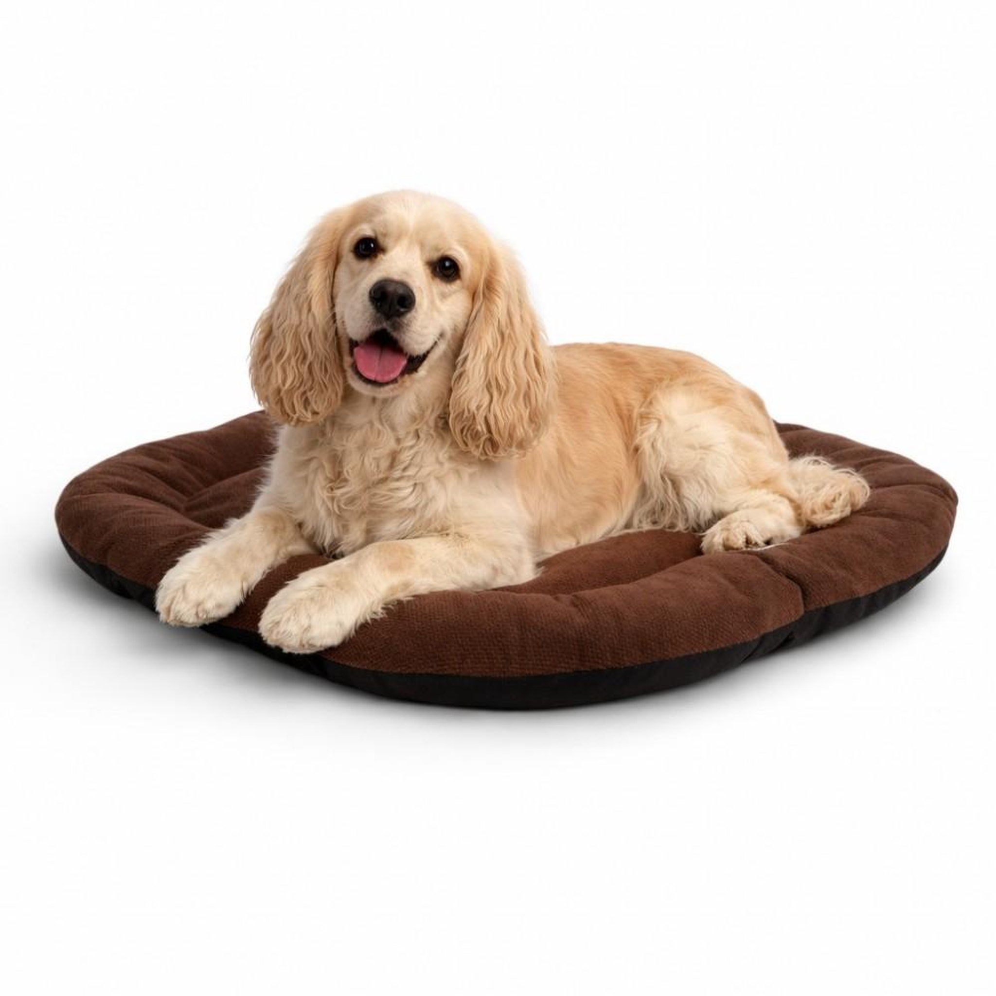Voir la diapositive 1 : MON AMI LUKI Coussin ovale antidérapant toute surface tissus pour chien