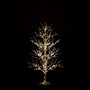 Voir la diapositive 3 : Paris Prix Statuette Déco à Led  Arbre Nu Perles  125cm Blanc