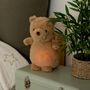 Voir la diapositive 4 : Atmosphera Kids Veilleuse Enfant Multifonctions  Peluche  27cm Marron