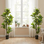 Voir la diapositive 2 : HOMCOM Ficus Lutea artificiels 1,50H m - lot de 2 ficus artificiels - 120 feuilles réalistes par pied - pot inclus noir vert