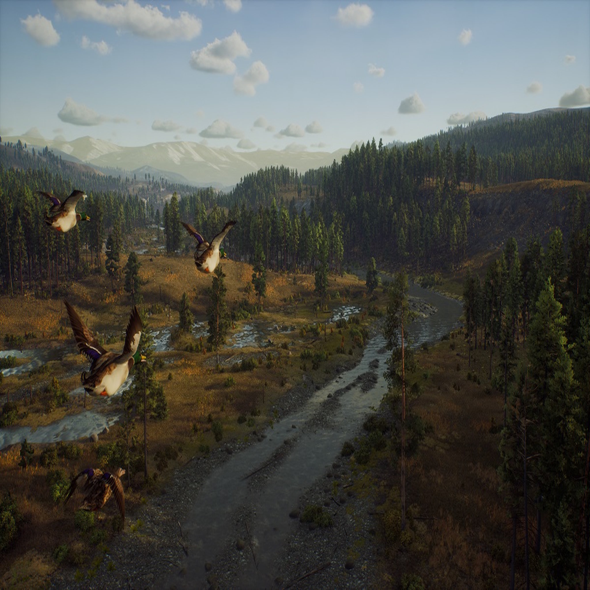 Voir la diapositive 4 : Way Of The Hunter PS5