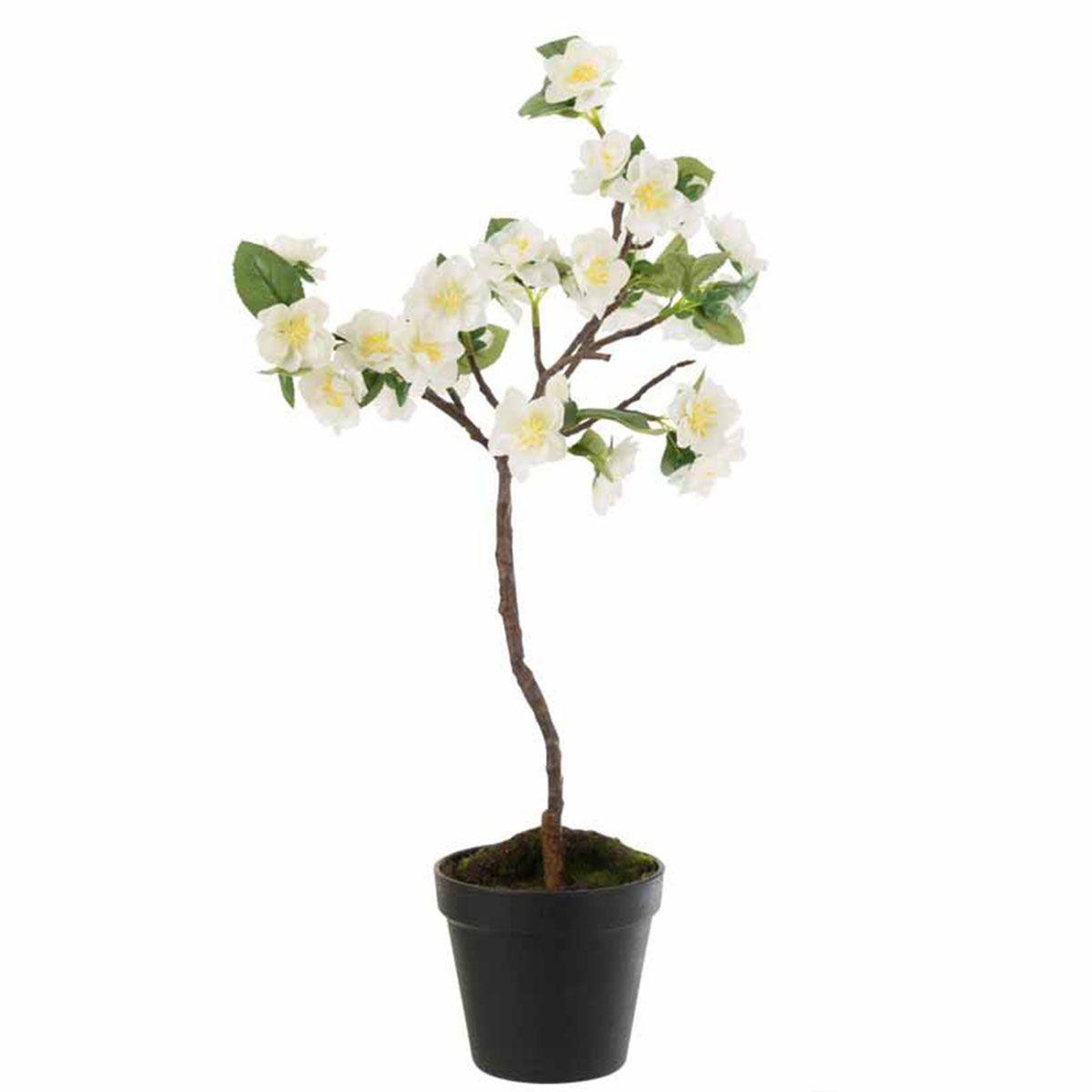 Voir la diapositive 1 : J-LINE Arbre en fleurs déco  printemps  50cm blanc
