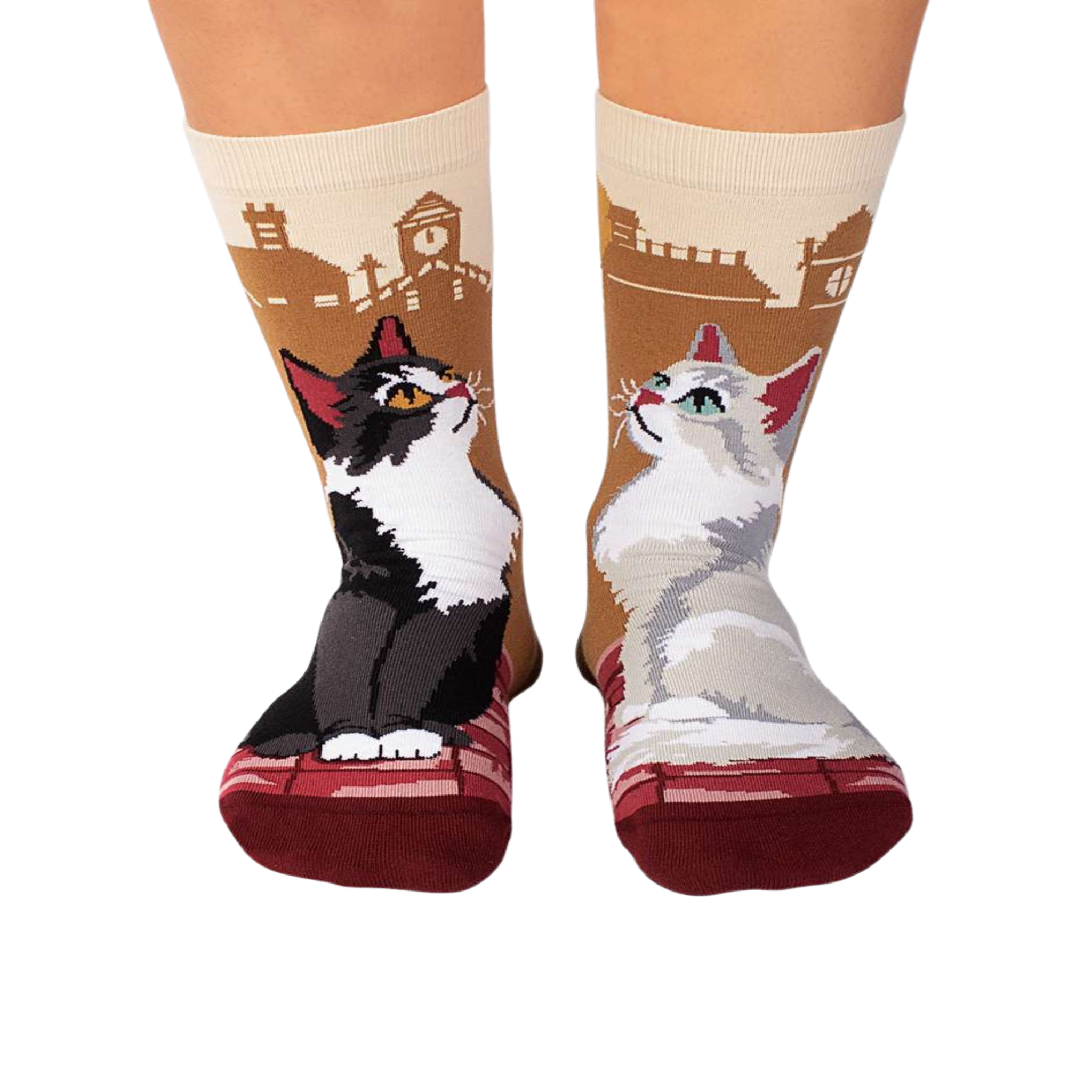 PIRIN HILL Chaussettes arty chats de ville
