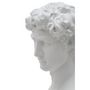 Voir la diapositive 4 : Paris Prix Buste Tête Masculine  Roman  34cm Blanc